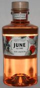 June by G'Vine Gin-Likör
